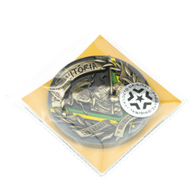 Carregar imagem no visualizador da galeria, MOEDA DIA DA VITÓRIA