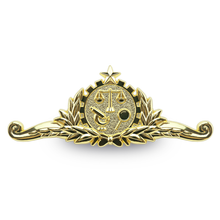 Carregar imagem no visualizador da galeria, BREVÊ CURSO PERÍCIA E INVESTIGAÇÃO CRIMINAL