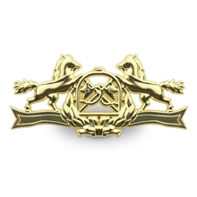 Carregar imagem no visualizador da galeria, BREVÊ CURSO DA ESEQEX