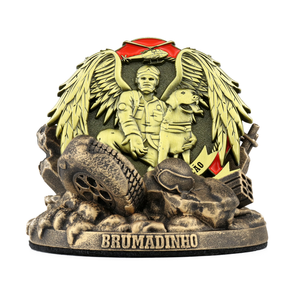 MOEDA OPERAÇÃO BRUMADINHO