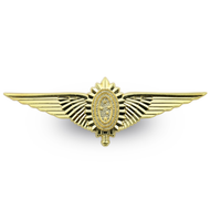 BREVÊ CURSO DE OBSERVADOR AÉREO